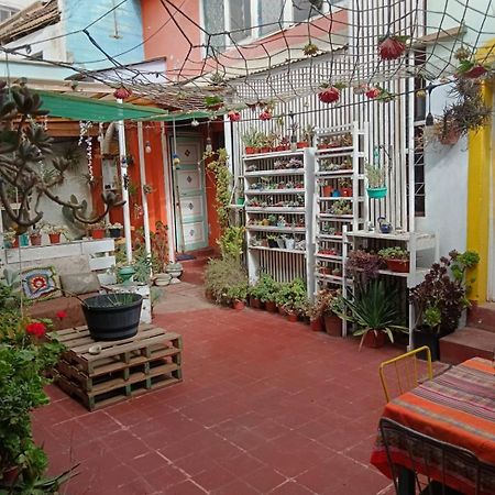 Espacio Floresta - Entre Plantas Y Arte كارتاخينا المظهر الخارجي الصورة
