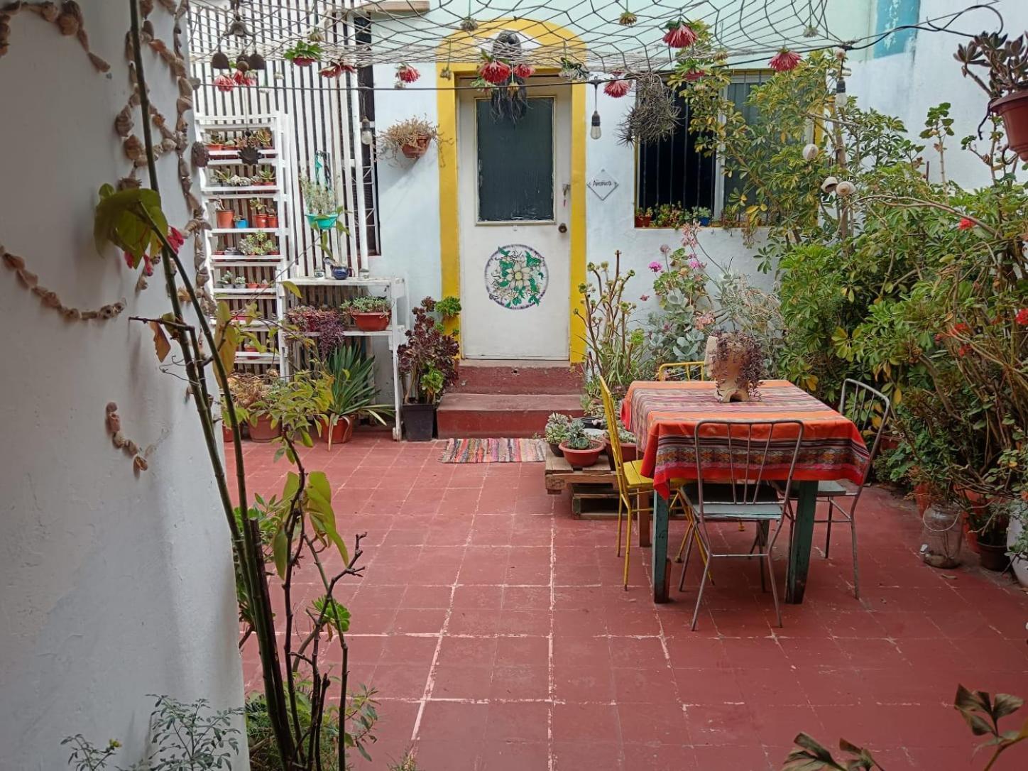 Espacio Floresta - Entre Plantas Y Arte كارتاخينا المظهر الخارجي الصورة